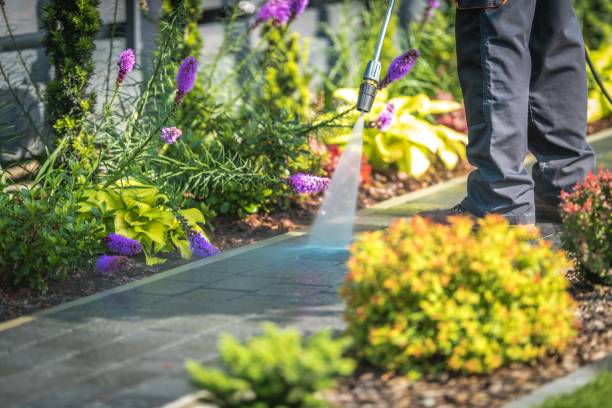 Best Pool Deck Cleaning  in St Joseph, IL