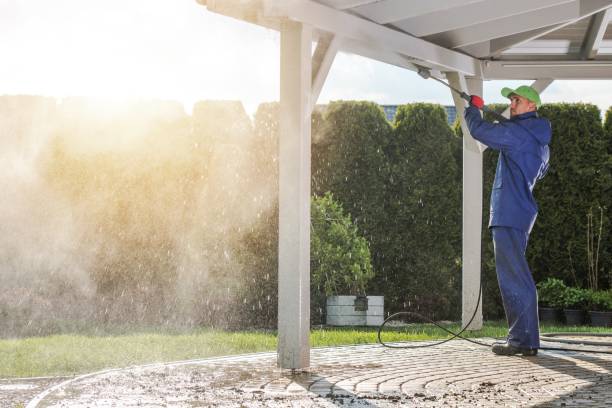 Best Graffiti Removal  in St Joseph, IL